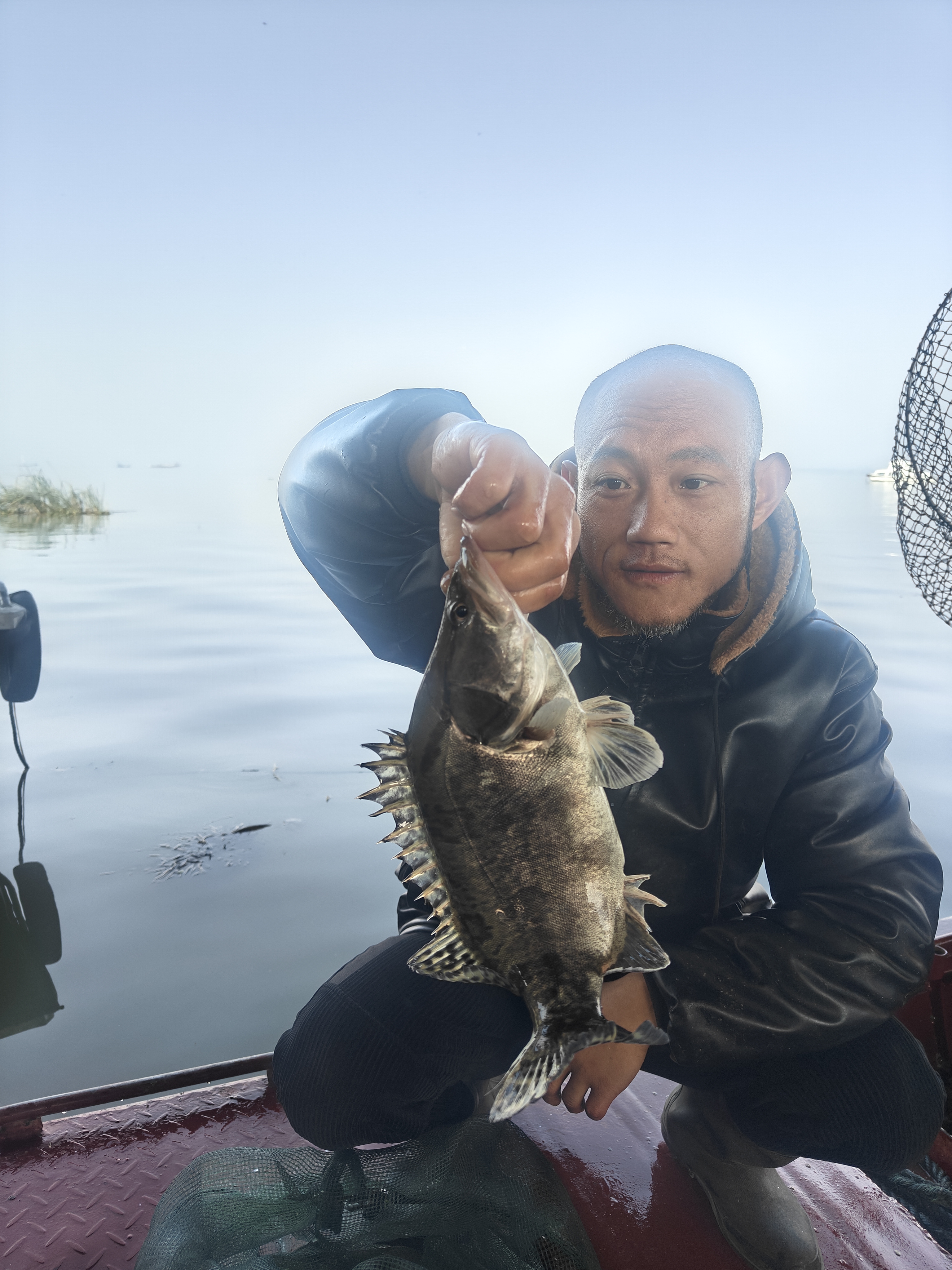 瓦埠水产哥 野生桂鱼（直播间改价链接）一物一拍