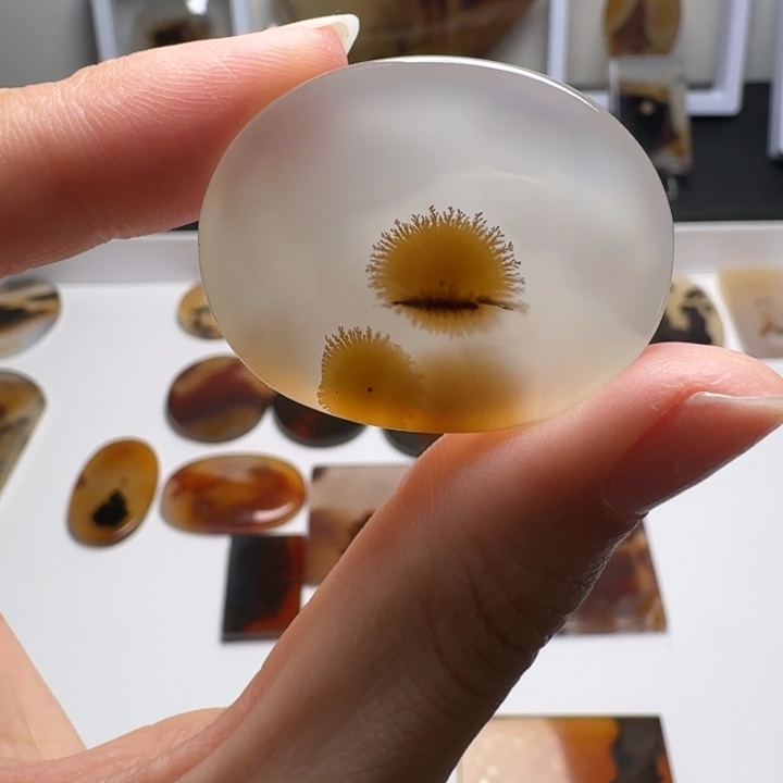 玛瑙/玉髓未镶嵌珠宝奇石