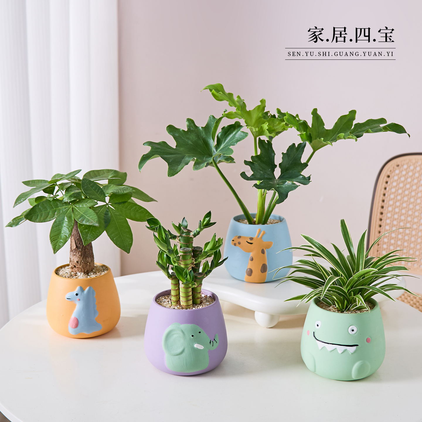 发财树富贵竹春羽吊兰盆栽办公室内客厅桌面绿植花卉四季好养植物