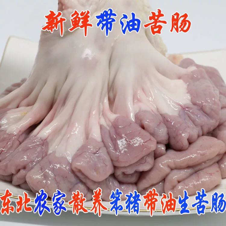 本地新鲜带大油边猪粉肠 苦肠 5斤【兰妹生鲜】