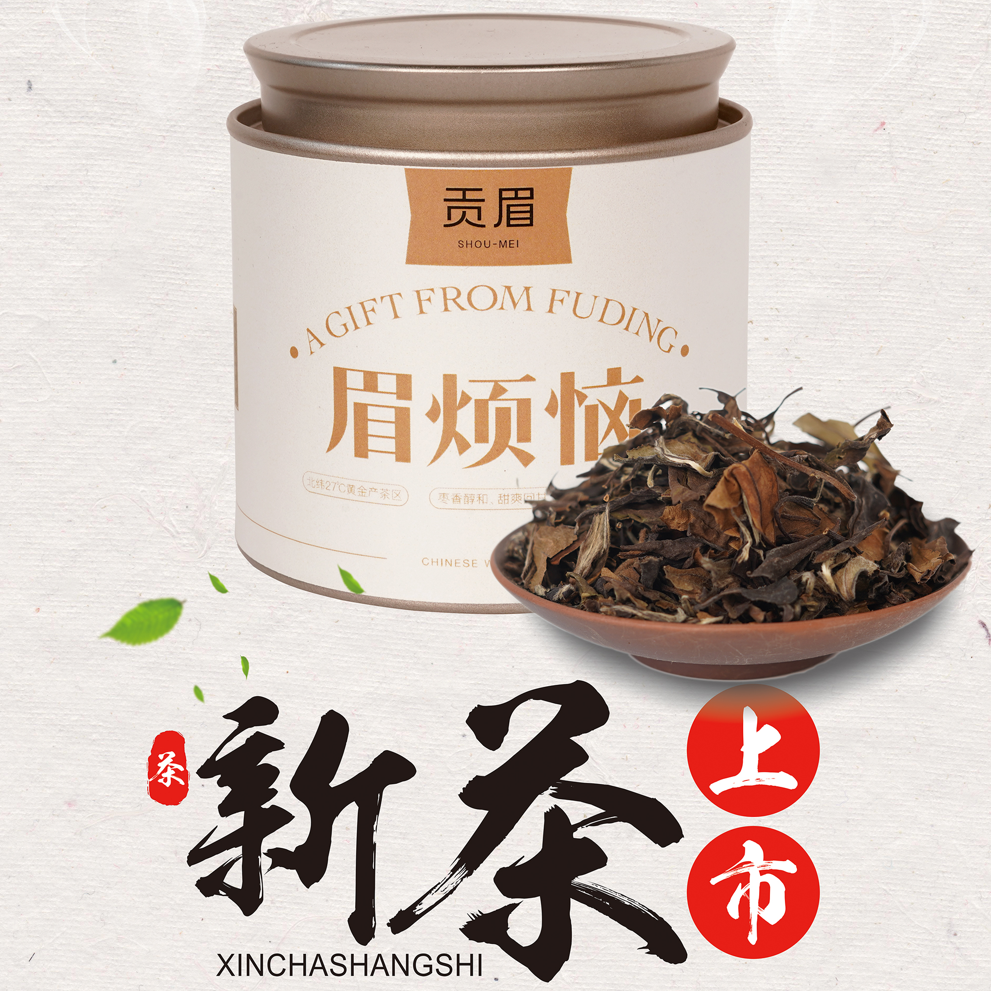 贡眉-福建福鼎白茶