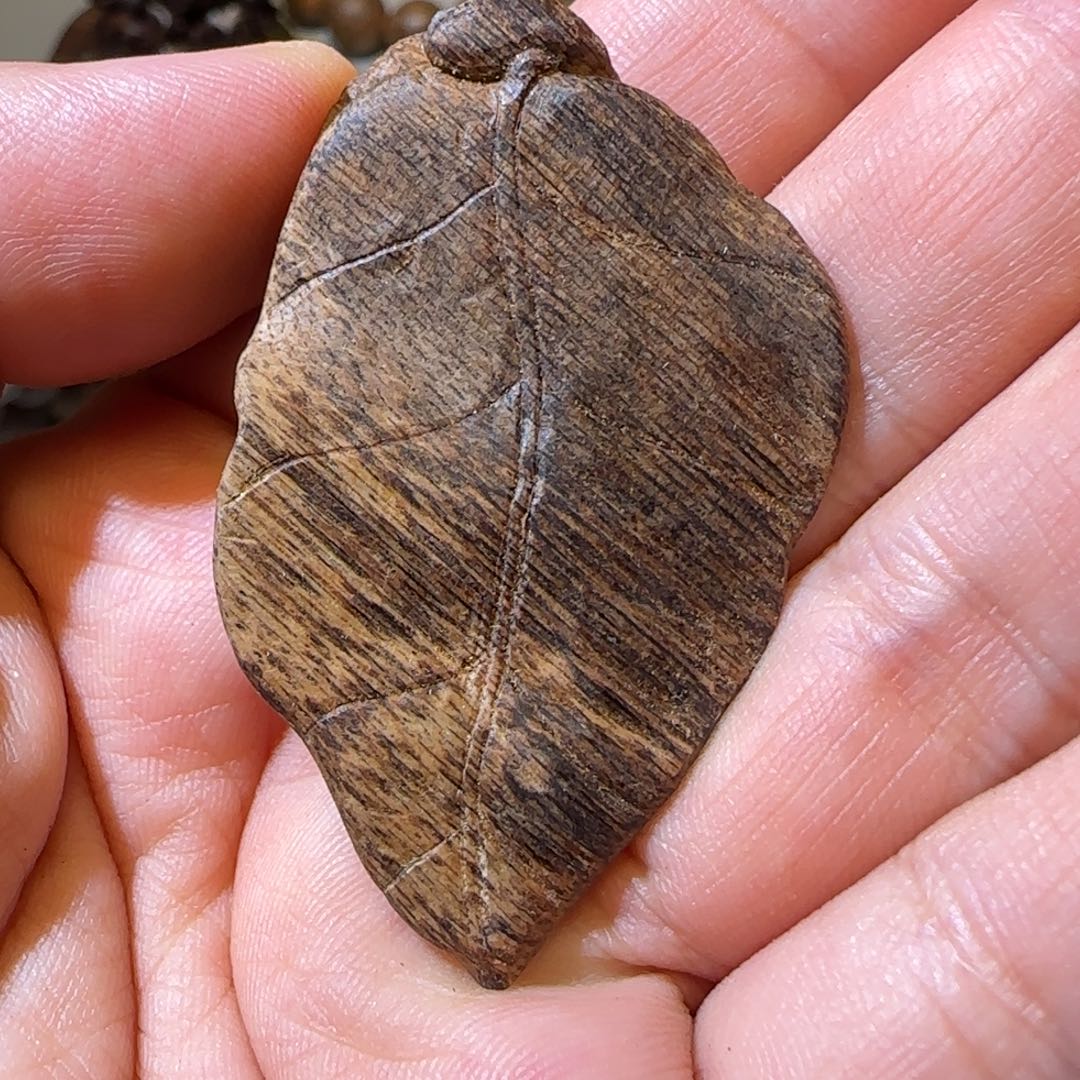 沉香沉香碎屑3.05克菩萨奇9分沉