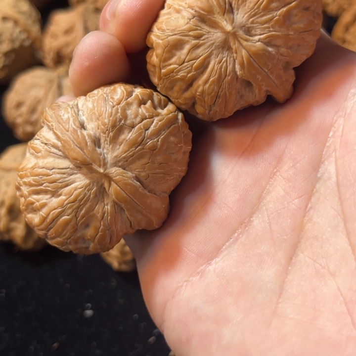 小***呆文玩核桃元宝43全品