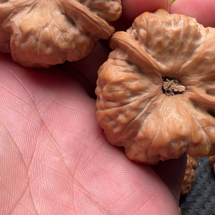 仙***具核桃文玩核桃文玩核桃