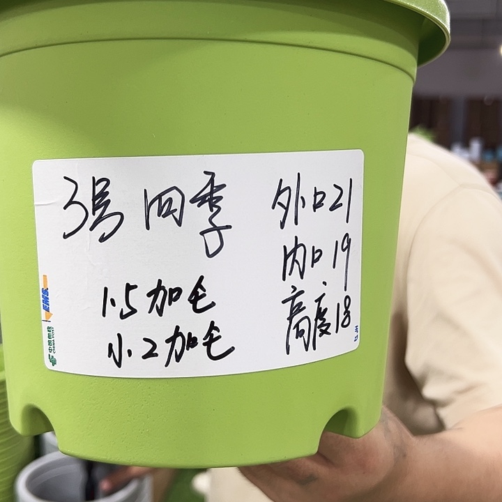 四季3号特价口21高18混色10个无托