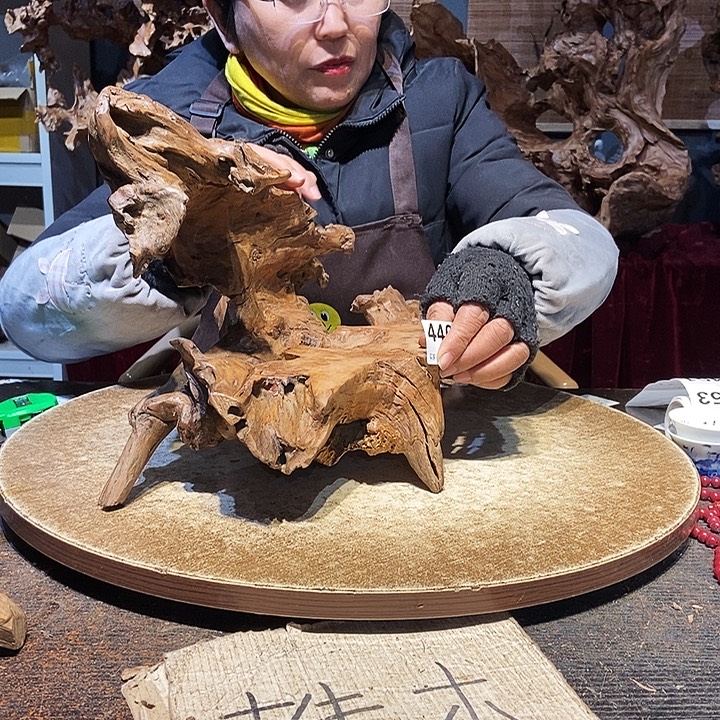 厚***物446。株木随行根艺