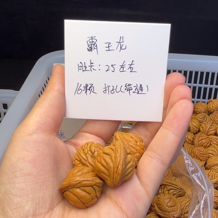 桃核吊坠奋*中霸王龙25