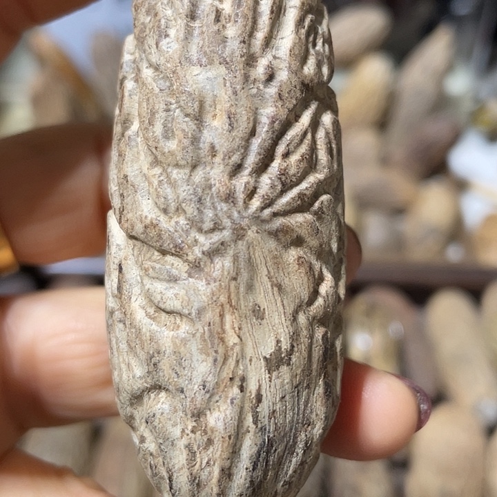 小***子千眼菩提把件千眼菩提手刷不退不换