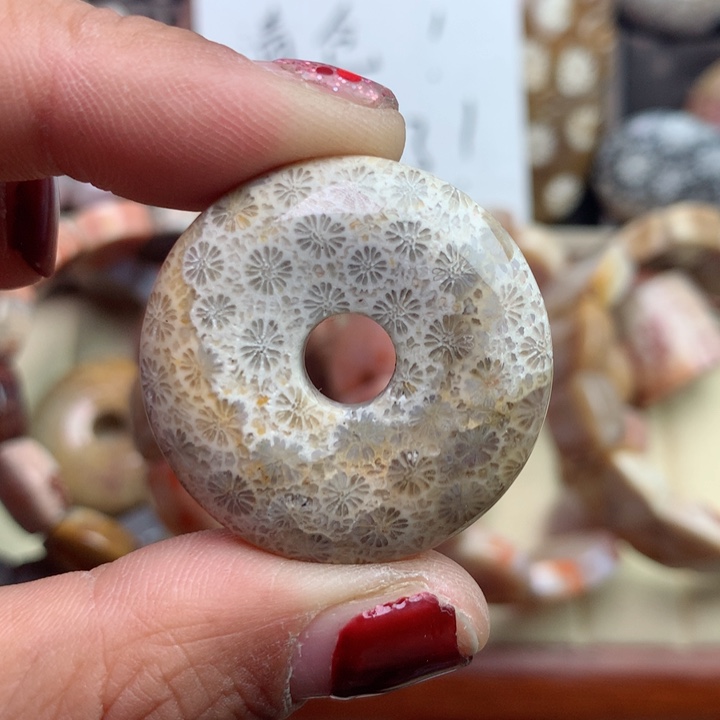 硅化珊瑚（珊瑚玉）颈饰未镶嵌