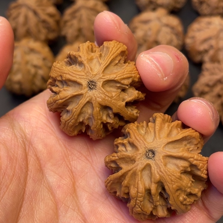 吊坠文玩核桃突突路突突突突突突突