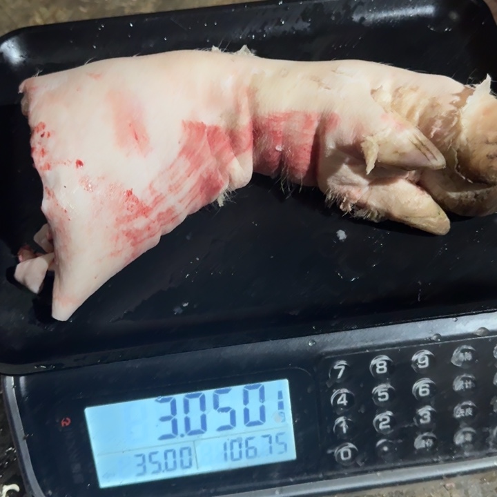 双***人7中国大陆食用农产品
