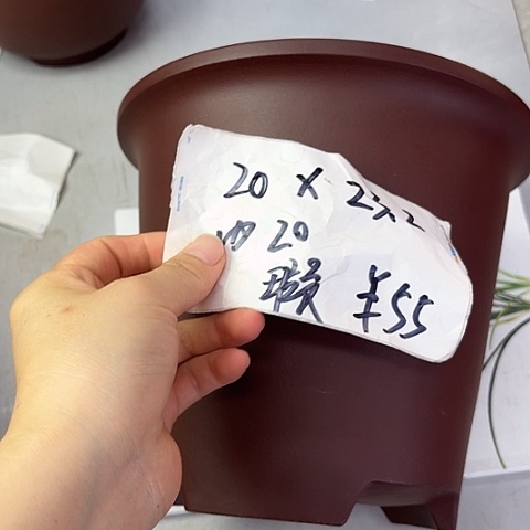 紫砂28608985855858
