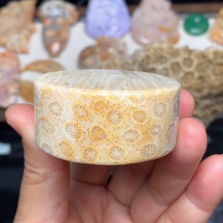 硅化珊瑚（珊瑚玉）手镯未镶嵌