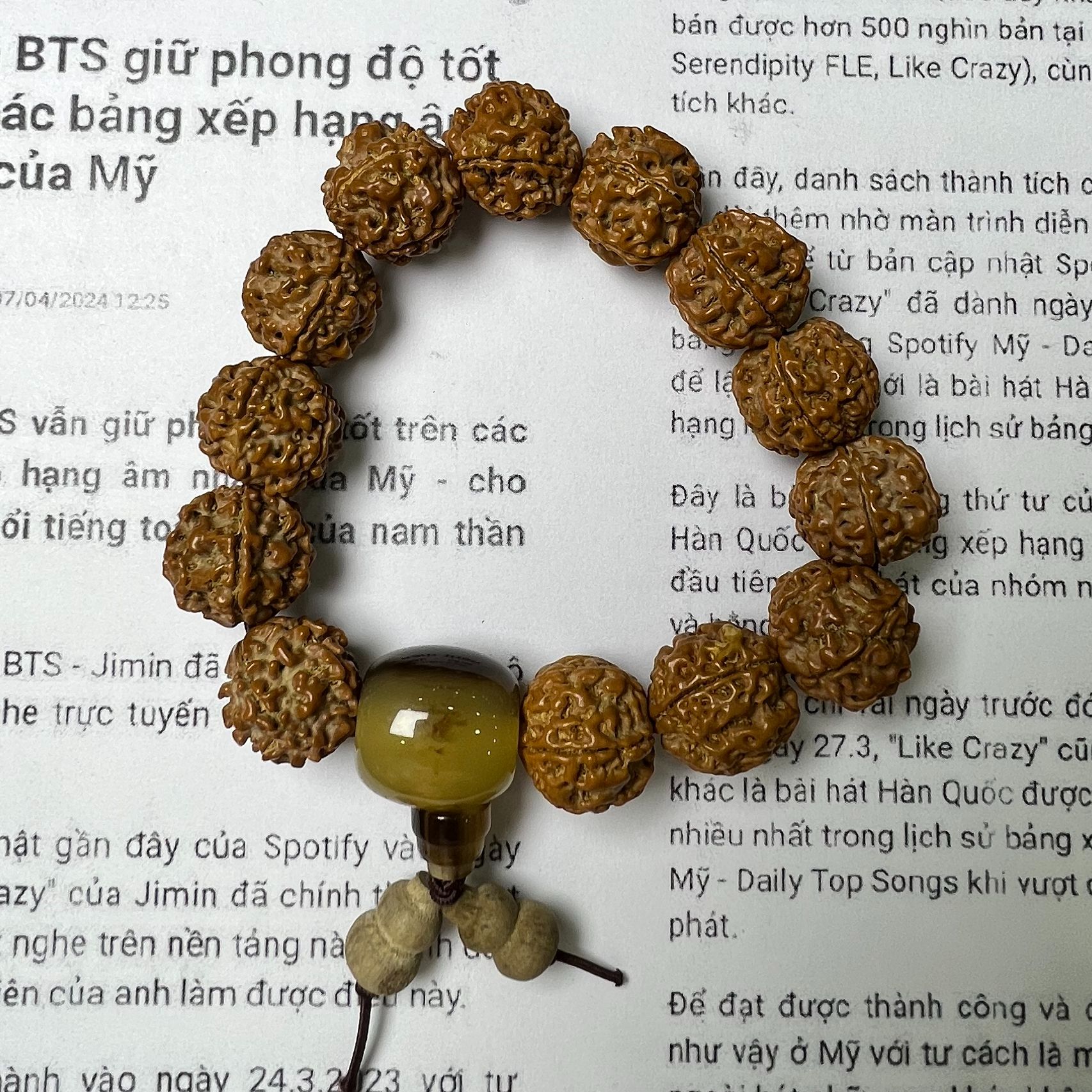 F207金刚牛角手串【多样性发货】