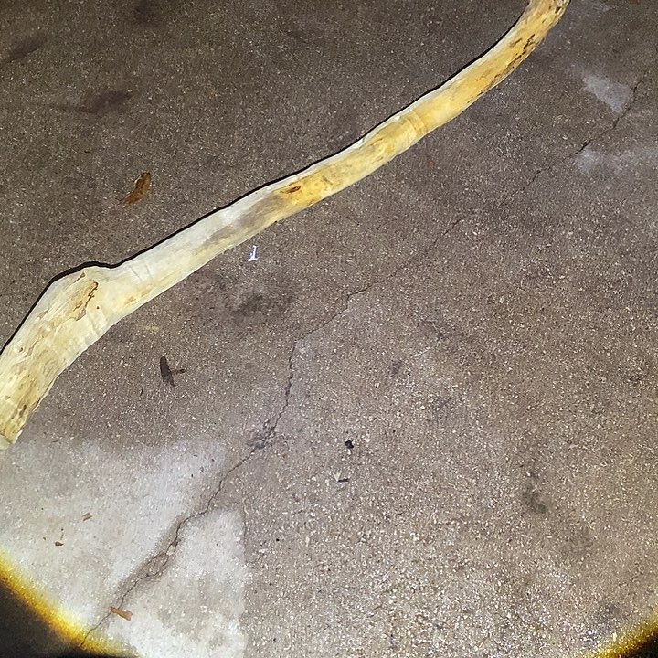 大***陈手串/手链楠木（金丝楠）