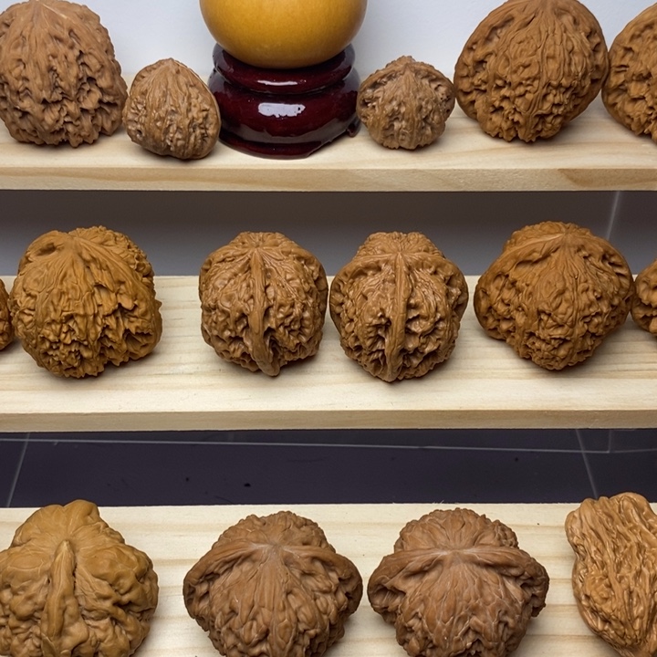 把件核桃南*?43全品粗筋