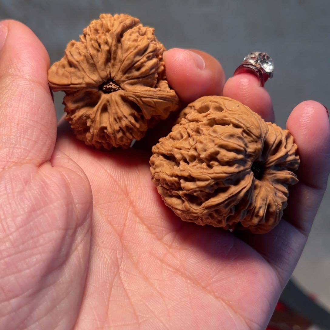 文玩核桃把件静**光南疆