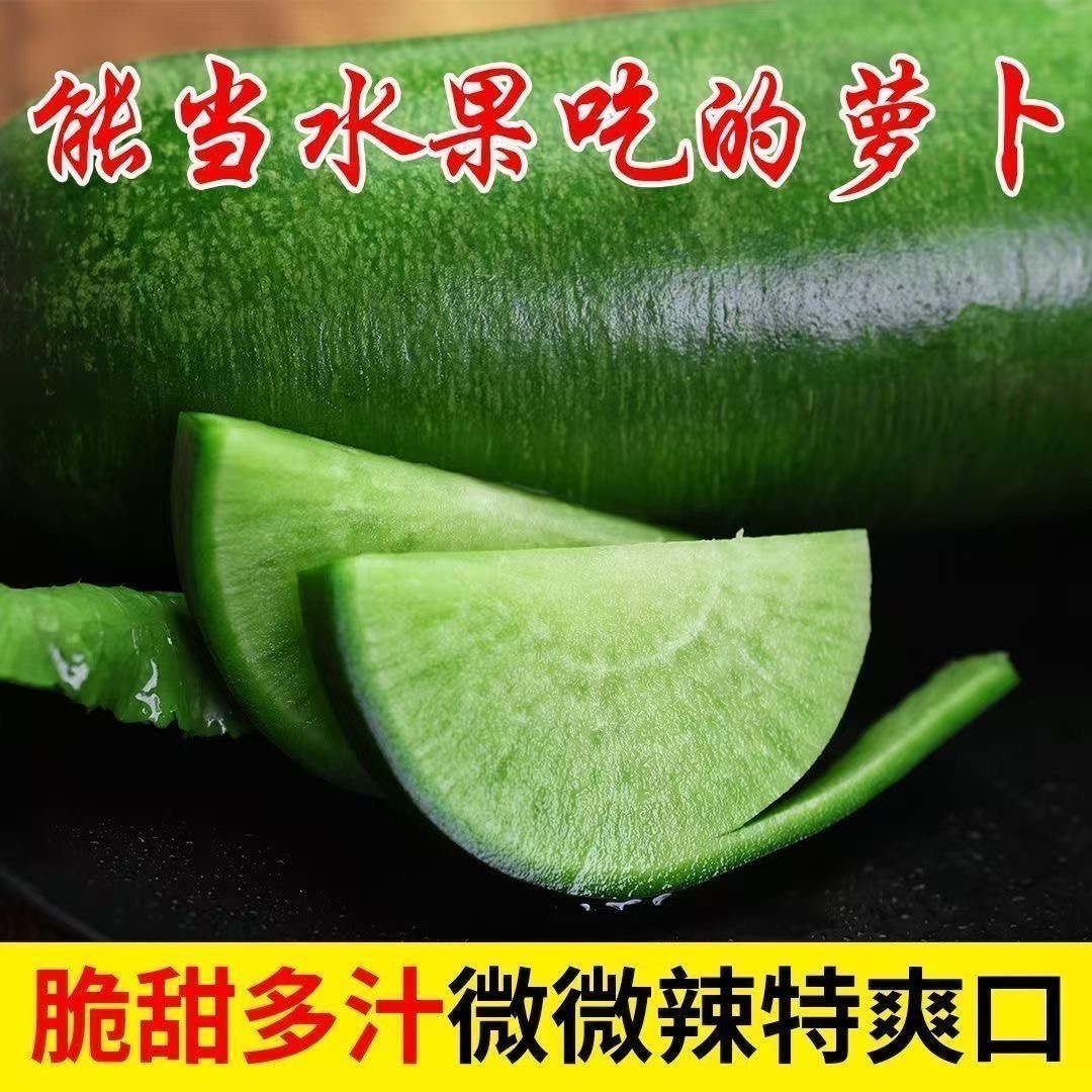 【现挖现发】河南水果萝卜新鲜采摘脆甜多汁不烧心产地直发5/9斤