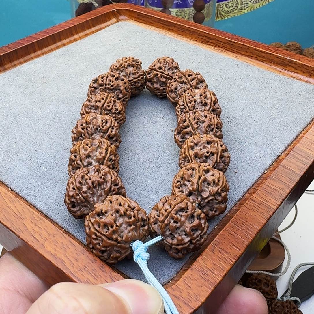 金刚菩提吊坠粗筋蜂窝双龙