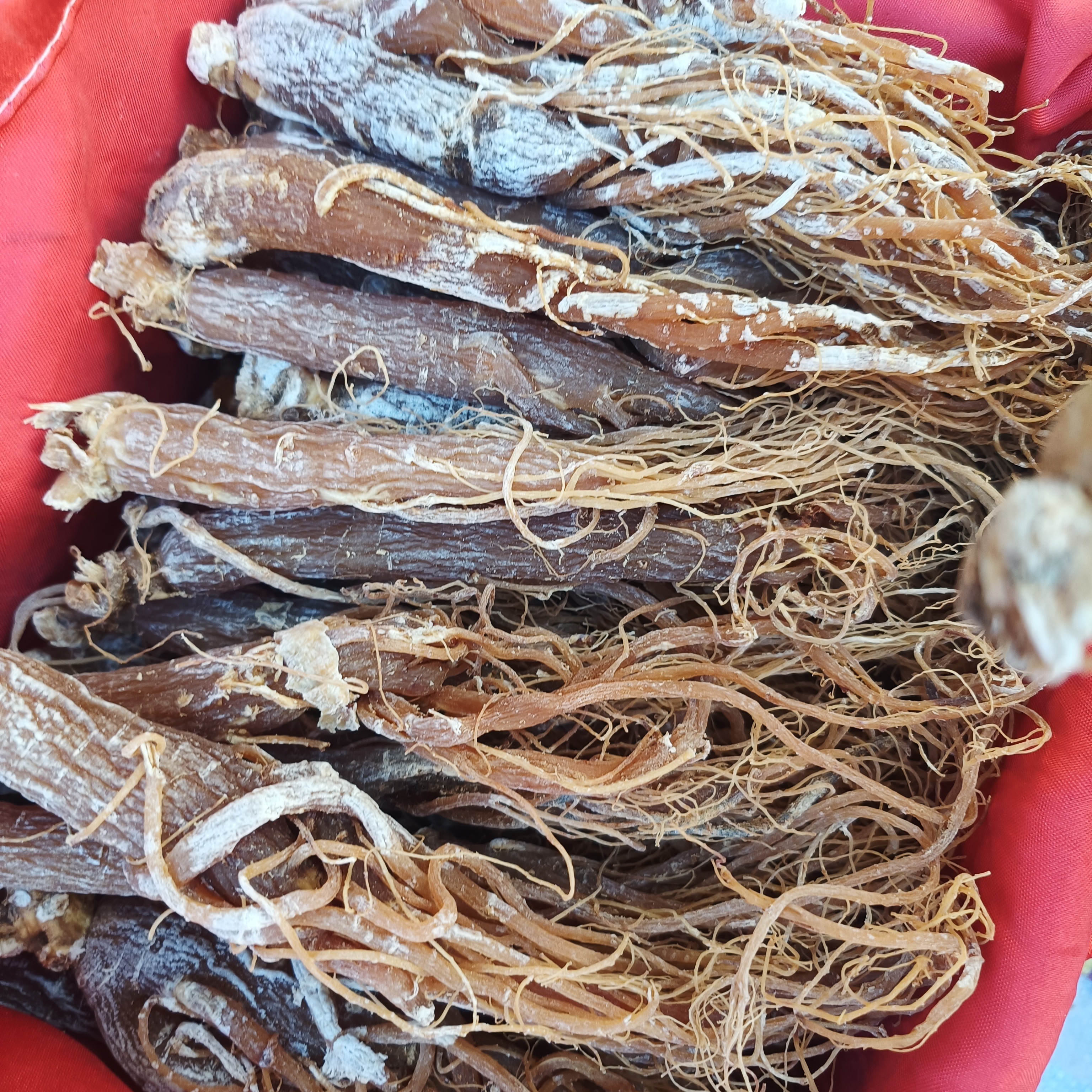红参条 集市现收 高端滋补