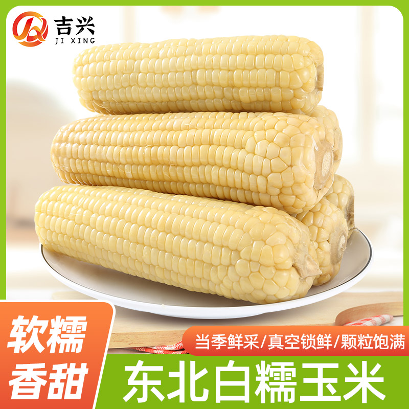 【试吃5根】2025年新鲜东北白糯玉米装香甜软糯