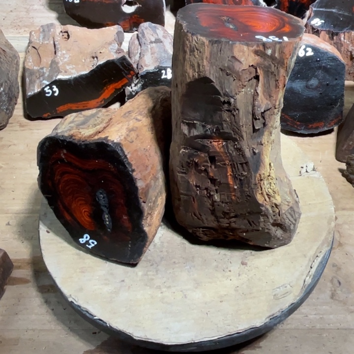 海***播交趾黄檀（大红酸枝）