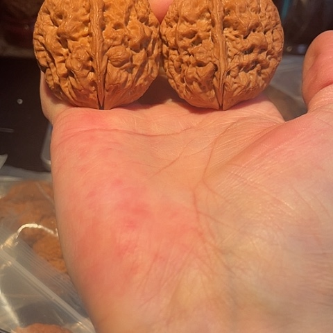 文玩核桃把件麻铁带彩43