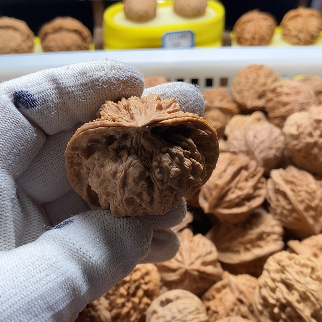 山***丶文玩核桃吊坠苹果蛇