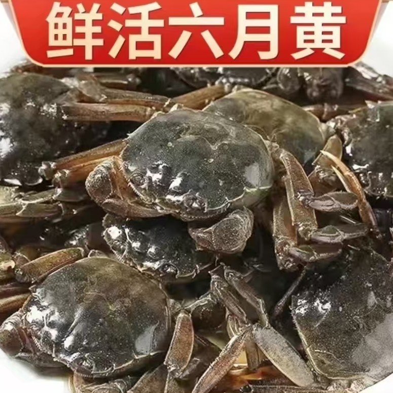 1.9-2.1二斤168（顺丰包邮）海鲜