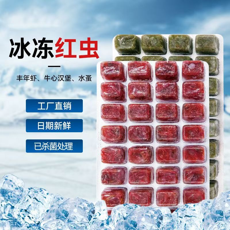 冷冻版红虫鱼儿爱吃，观赏鱼爱吃的零食