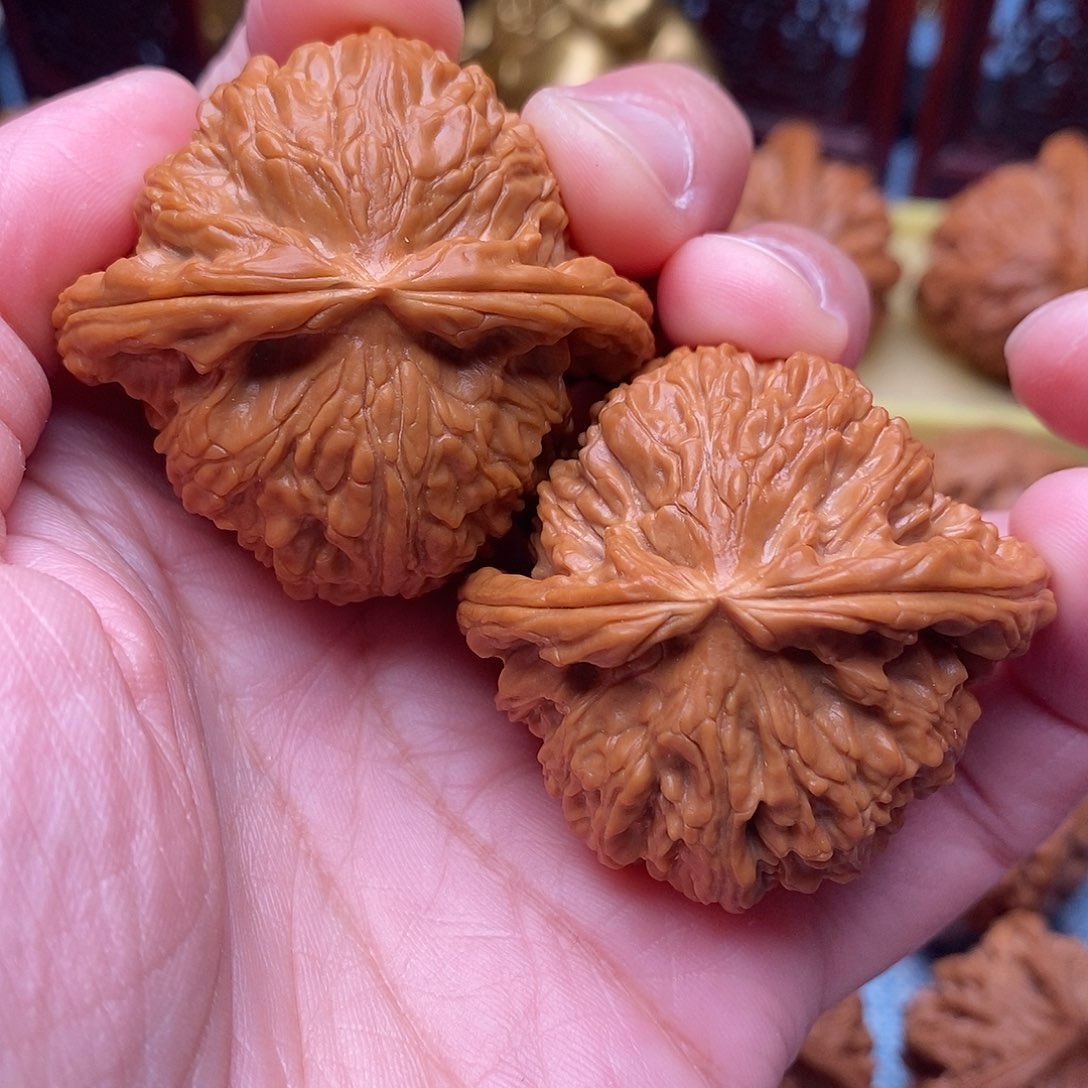 文玩核桃把件毕业精品绝配白狮子43.5尺