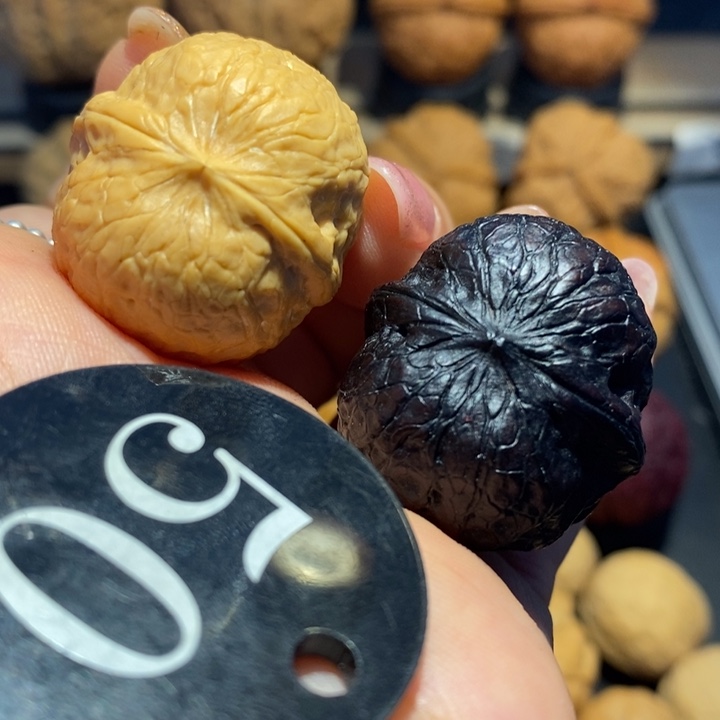 核桃双龙戏珠尺寸30