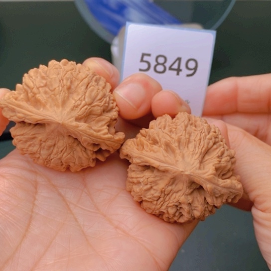 把件文玩核桃48官帽5849