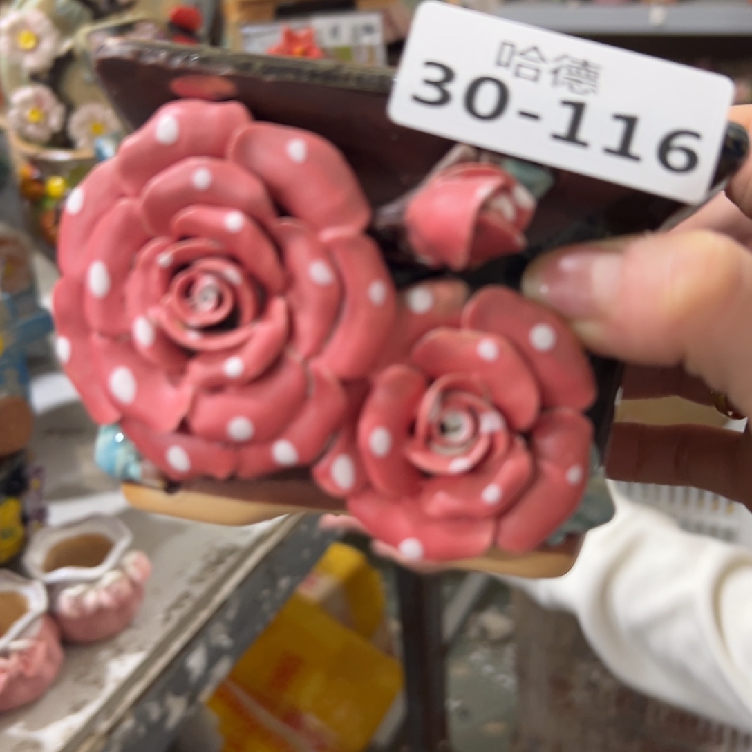 多肉花盆满20发爱退拉黑