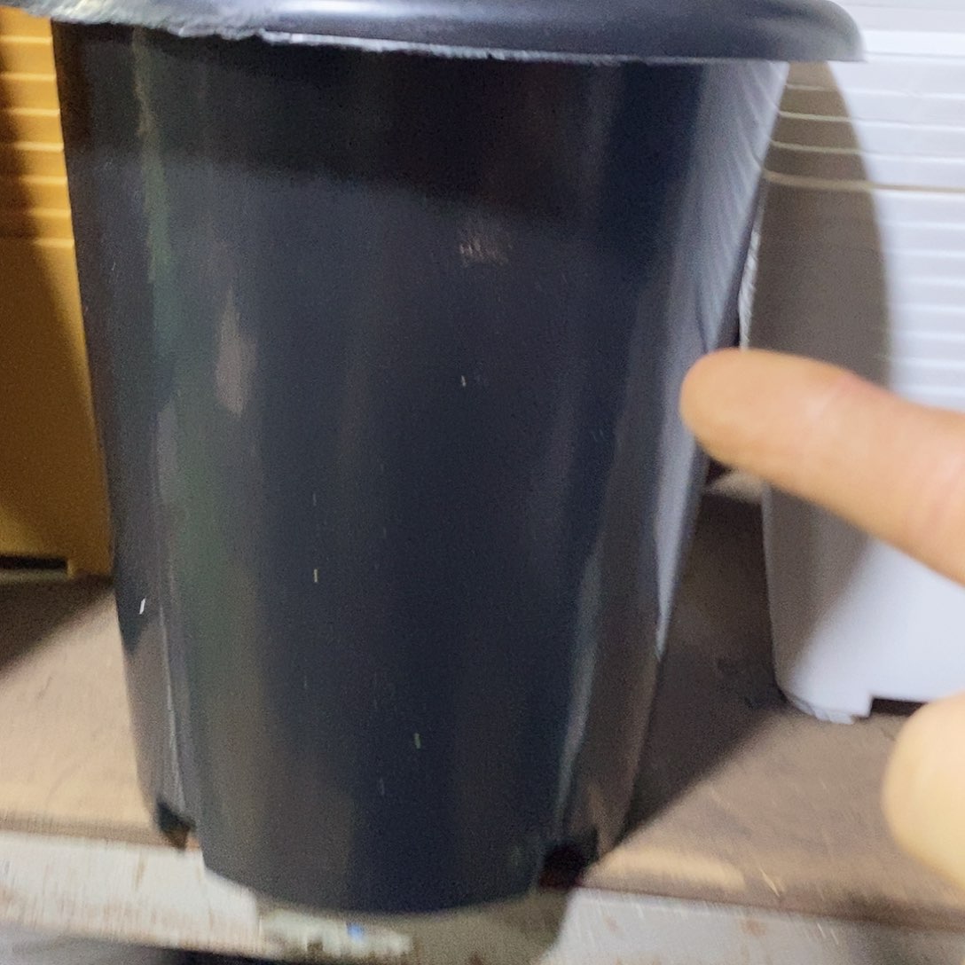 塑料新21公分兰花盆高21公分 6个