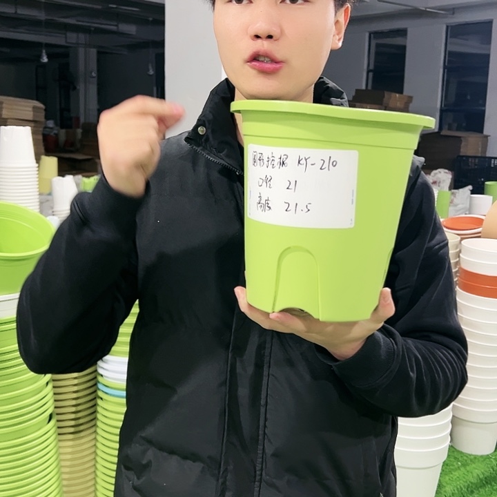 正品圆控口21高21果绿色8只无托