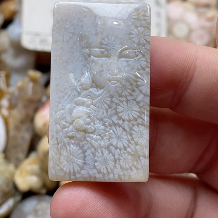 颈饰未镶嵌硅化珊瑚（珊瑚玉）小