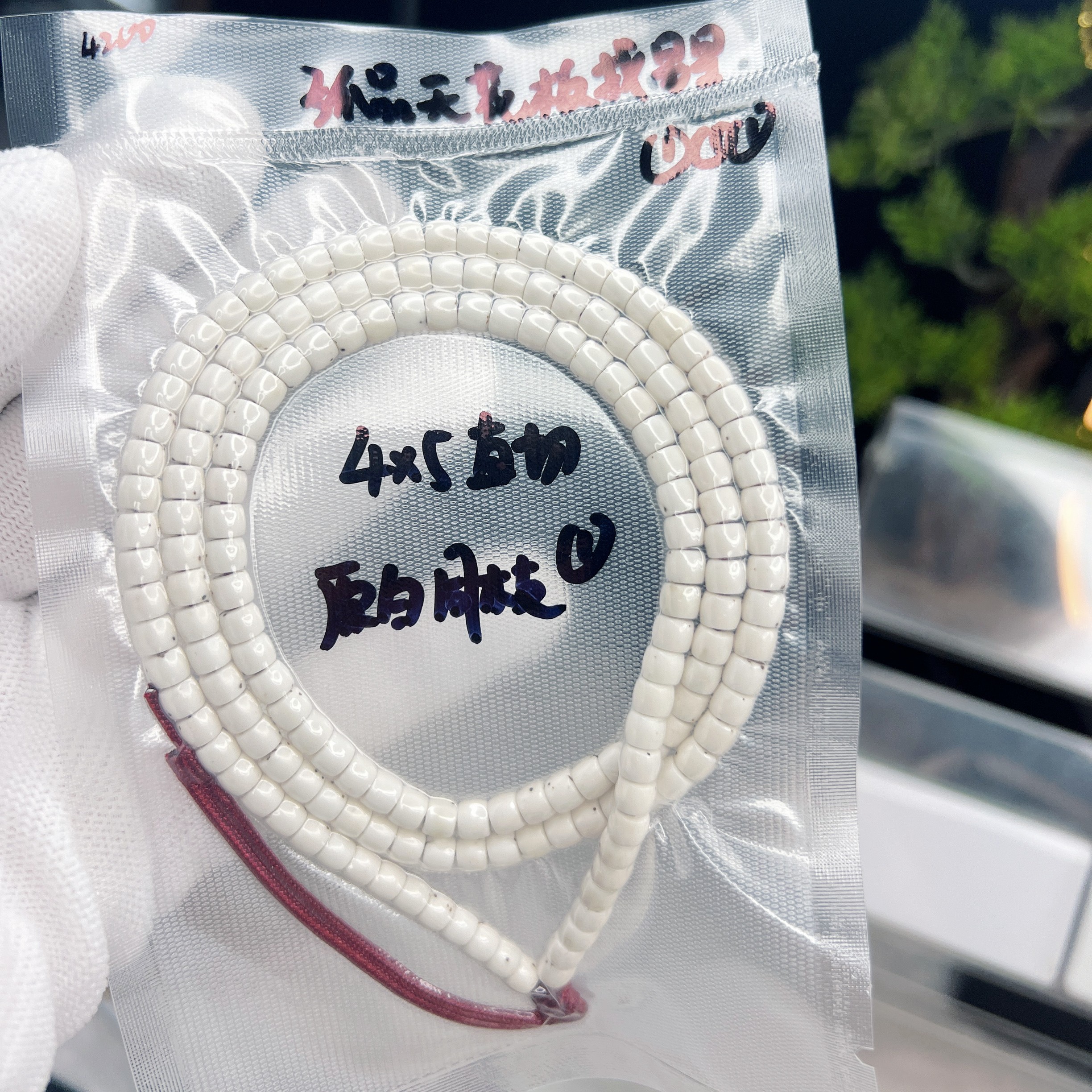 星月菩提 原生态4*5原白直切 找星星 高密大留白