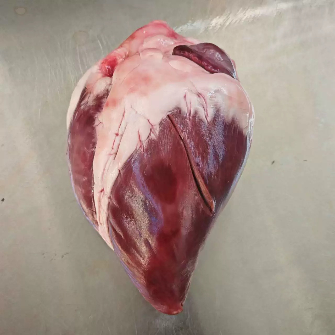 新鲜马心 马肝马腰子