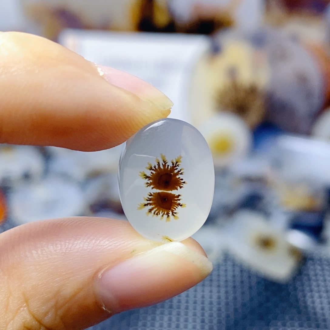 科***想玛瑙/玉髓未镶嵌珠宝奇石