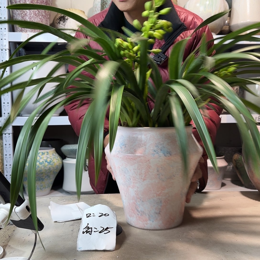 20@25 紫砂花盆尺寸