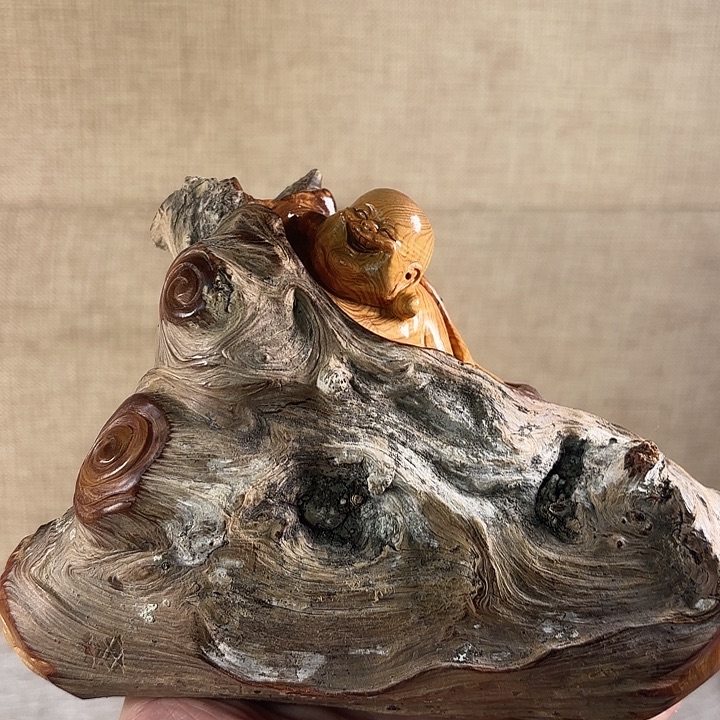 达***新崖柏崖柏白粉骨料乐乐