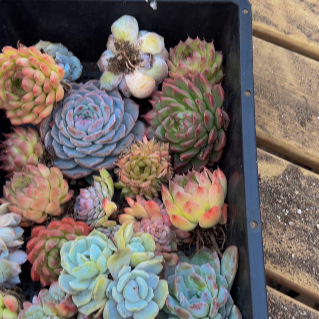 434谢谢出差出vvv宝贝