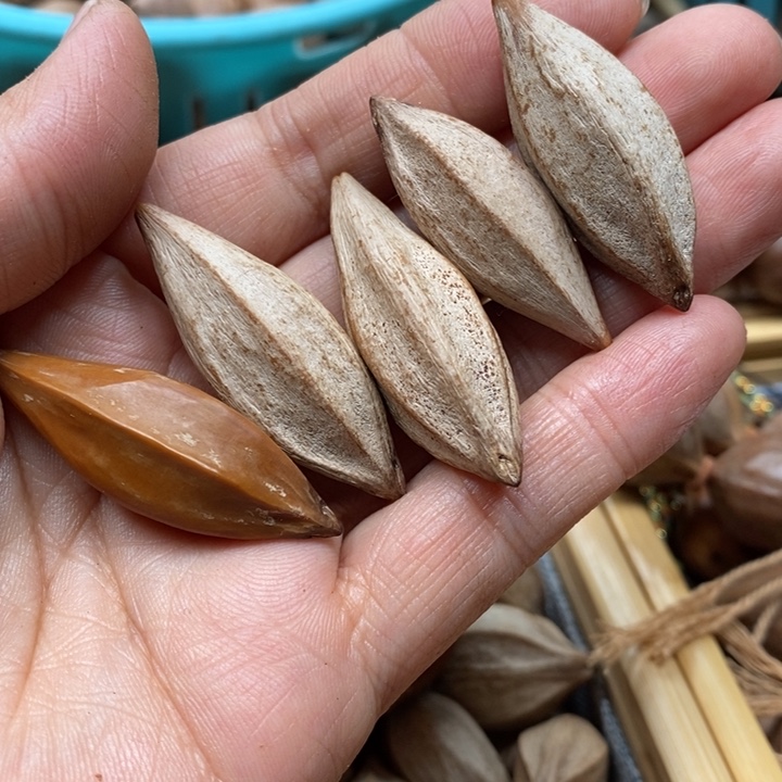 吊坠橄榄核S****?一斤