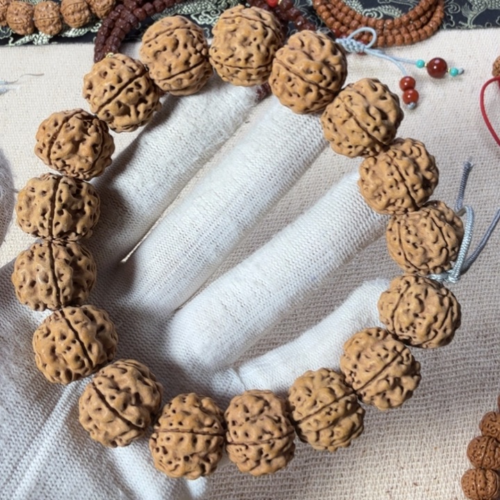 金刚菩提手串帝王龙