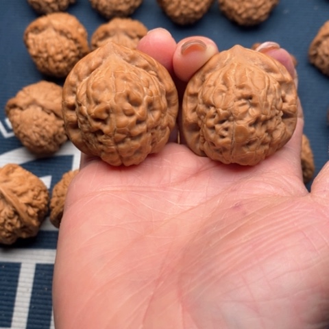 橄榄核手串/手链金字塔38全品