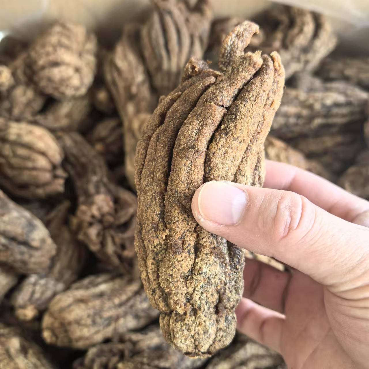 【尚惠】咸佛手老香黄