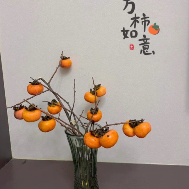 野生小柿子鲜切枝条秋季秋色野奢鲜花观果水培植物高级感柿柿如意