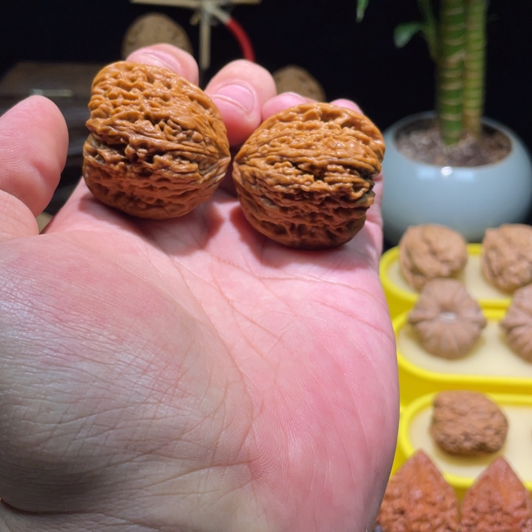 把件文玩核桃37全品满拉丝凹底小尺寸蝴蝶团子