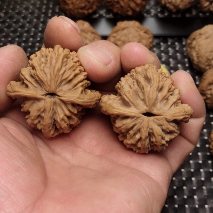 文玩核桃吊坠✨****民43